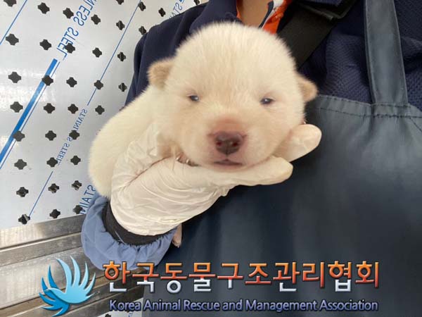 종료(자연사) 믹스…